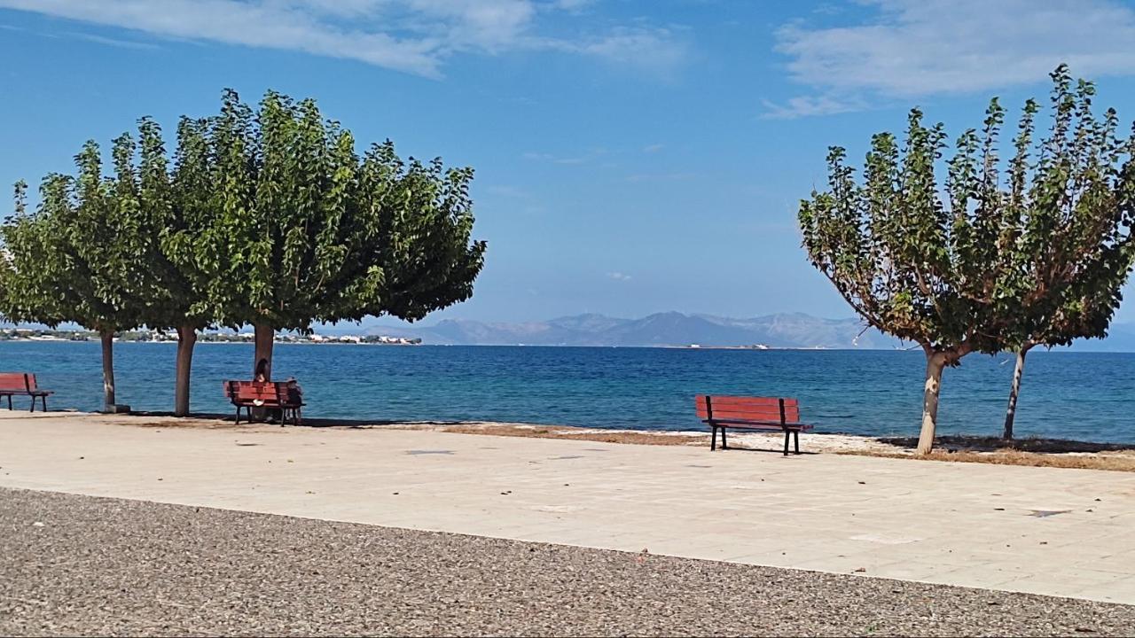 Appartement Beautiful Choice - Near Athens Airport - 50M From The Sea - Iq+ à Artemi Extérieur photo